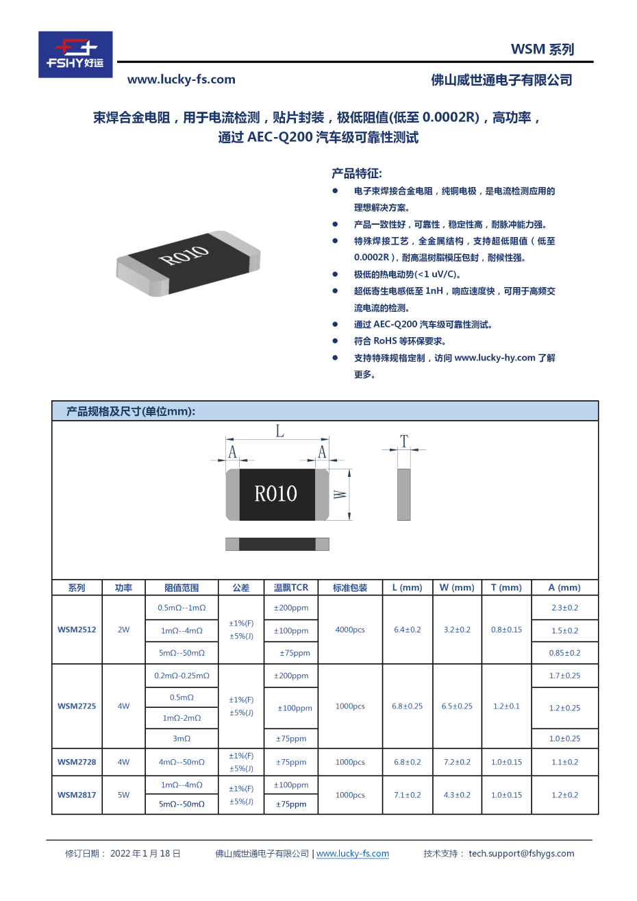 WSM 束焊合金电阻_01